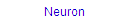 Neuron